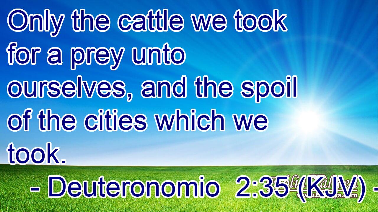 Only the cattle we took for a prey unto ourselves, and the spoil of the cities which we took.