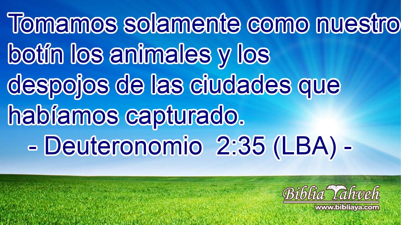 Tomamos solamente como nuestro botín los animales y los despojos de las ciudades que habíamos capturado.