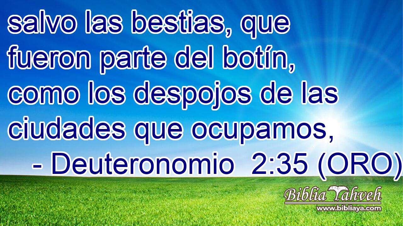  salvo las bestias, que fueron parte del botín, como los despojos de las ciudades que ocupamos, 