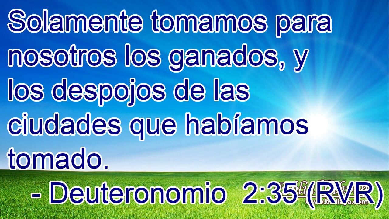 Solamente tomamos para nosotros los ganados, y los despojos de las ciudades que habíamos tomado.