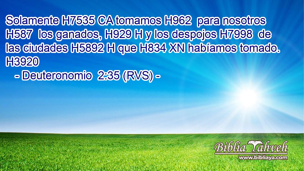 Solamente H7535 CA tomamos H962  para nosotros H587  los ganados, H929 H y los despojos H7998  de las ciudades H5892 H que H834 XN habíamos tomado. H3920  