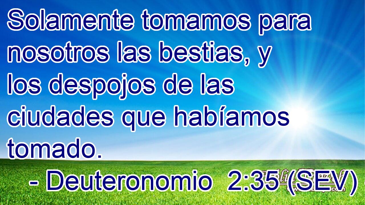 Solamente tomamos para nosotros las bestias, y los despojos de las ciudades que habíamos tomado.