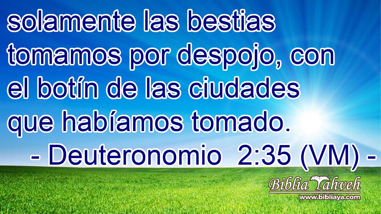  solamente las bestias tomamos por despojo, con el botín de las ciudades que habíamos tomado. 