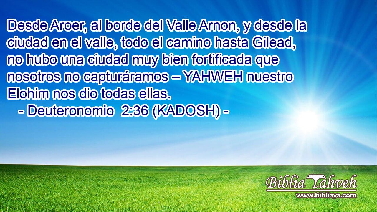  Desde Aroer, al borde del Valle Arnon, y desde la ciudad en el valle, todo el camino hasta Gilead, no hubo una ciudad muy bien fortificada que nosotros no capturáramos – YAHWEH nuestro Elohim nos dio todas ellas. 