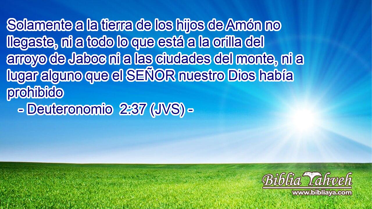 Solamente a la tierra de los hijos de Amón no llegaste, ni a todo lo que está a la orilla del arroyo de Jaboc ni a las ciudades del monte, ni a lugar alguno que el SEÑOR nuestro Dios había prohibido