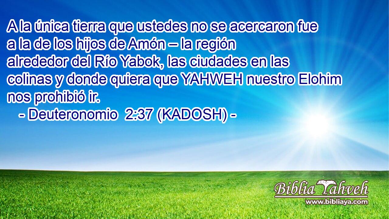  A la única tierra que ustedes no se acercaron fue a la de los hijos de Amón – la región alrededor del Río Yabok, las ciudades en las colinas y donde quiera que YAHWEH nuestro Elohim nos prohibió ir. 
