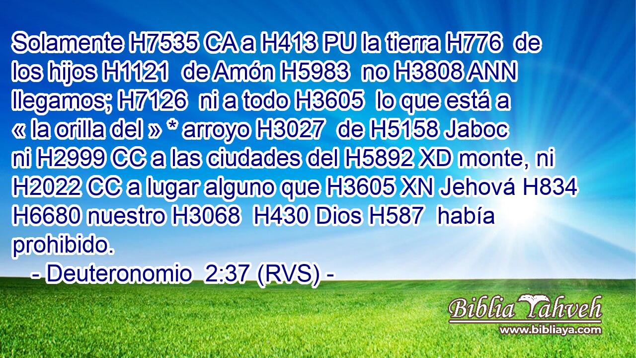 Solamente H7535 CA a H413 PU la tierra H776  de los hijos H1121  de Amón H5983  no H3808 ANN llegamos; H7126  ni a todo H3605  lo que está a « la orilla del » * arroyo H3027  de H5158 Jaboc ni H2999 CC a las ciudades del H5892 XD monte, ni H2022 CC a lugar alguno que H3605 XN Jehová H834  H6680 nuestro H3068  H430 Dios H587  había prohibido. 