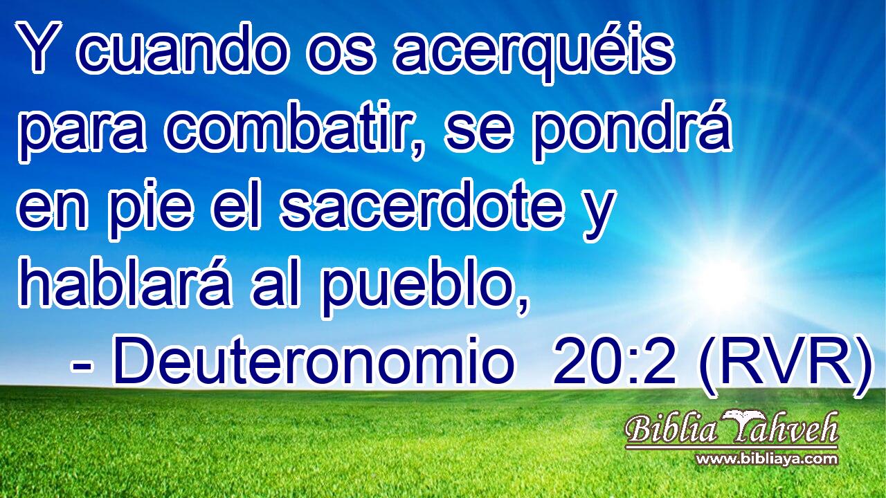 Y cuando os acerquéis para combatir, se pondrá en pie el sacerdote y hablará al pueblo,