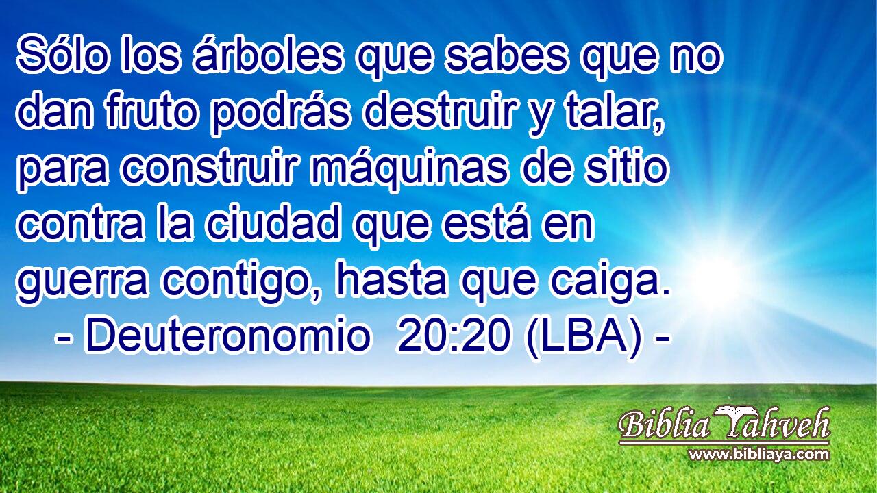 Sólo los árboles que sabes que no dan fruto podrás destruir y talar, para construir máquinas de sitio contra la ciudad que está en guerra contigo, hasta que caiga.
