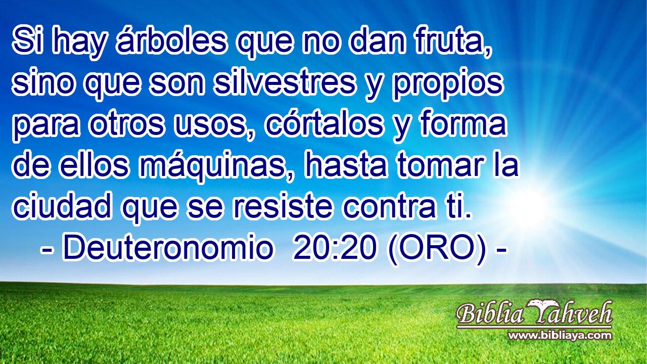  Si hay árboles que no dan fruta, sino que son silvestres y propios para otros usos, córtalos y forma de ellos máquinas, hasta tomar la ciudad que se resiste contra ti. 
