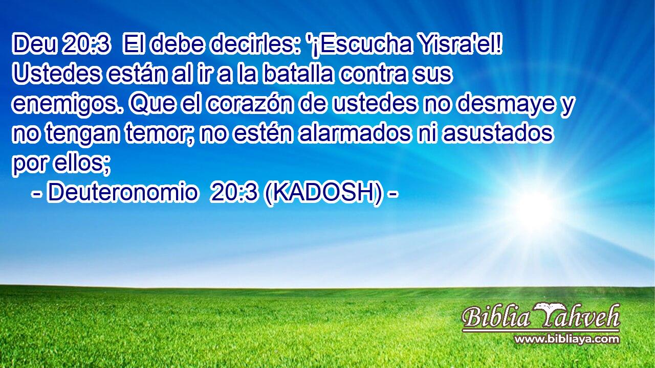  El debe decirles: '¡Escucha Yisra'el! Ustedes están al ir a la batalla contra sus enemigos. Que el corazón de ustedes no desmaye y no tengan temor; no estén alarmados ni asustados por ellos; 
