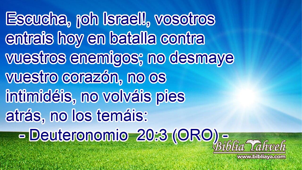  Escucha, ¡oh Israel!, vosotros entrais hoy en batalla contra vuestros enemigos; no desmaye vuestro corazón, no os intimidéis, no volváis pies atrás, no los temáis: 