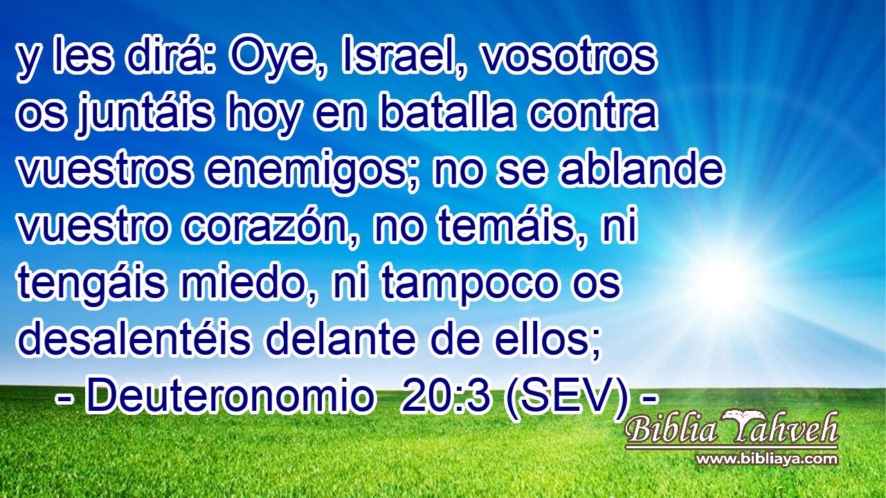 y les dirá: Oye, Israel, vosotros os juntáis hoy en batalla contra vuestros enemigos; no se ablande vuestro corazón, no temáis, ni tengáis miedo, ni tampoco os desalentéis delante de ellos;