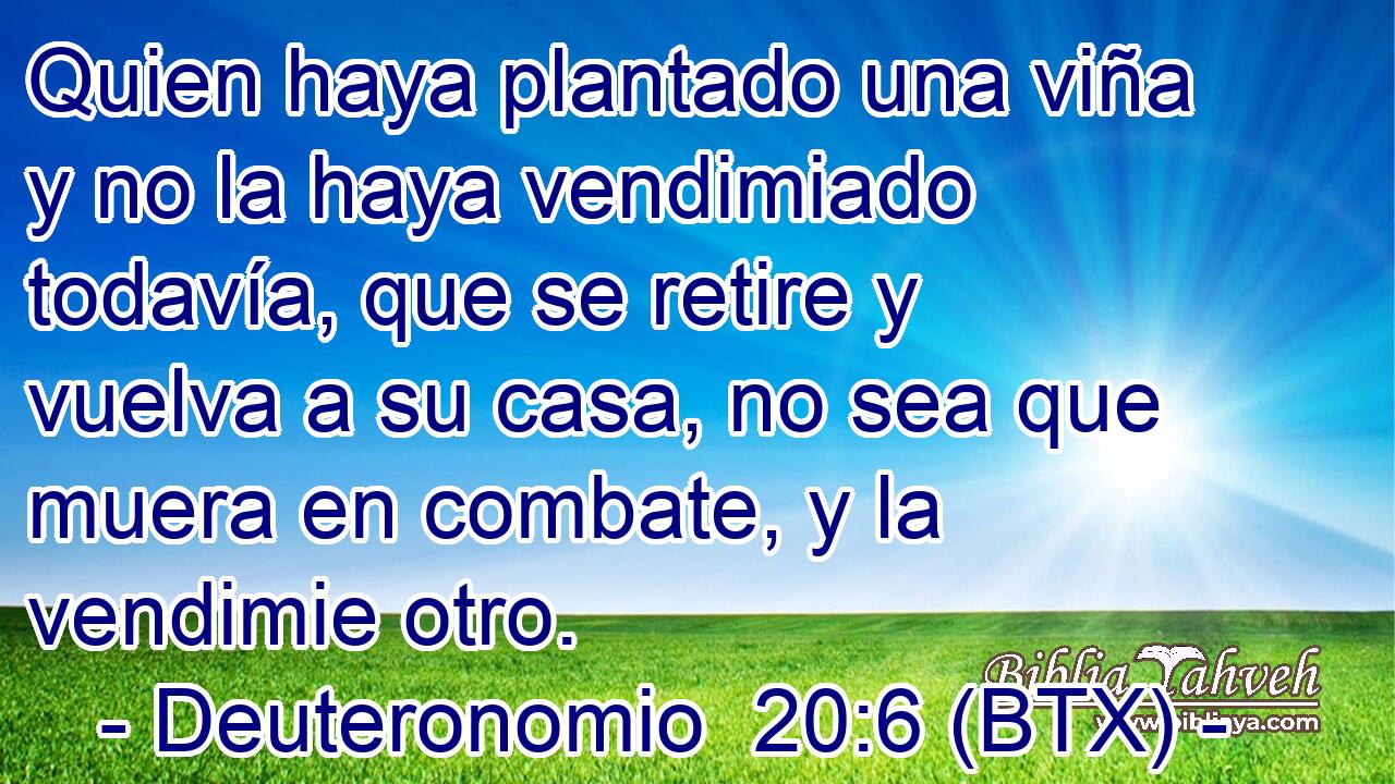 Quien haya plantado una viña y no la haya vendimiado todavía, que se retire y vuelva a su casa, no sea que muera en combate, y la vendimie otro.