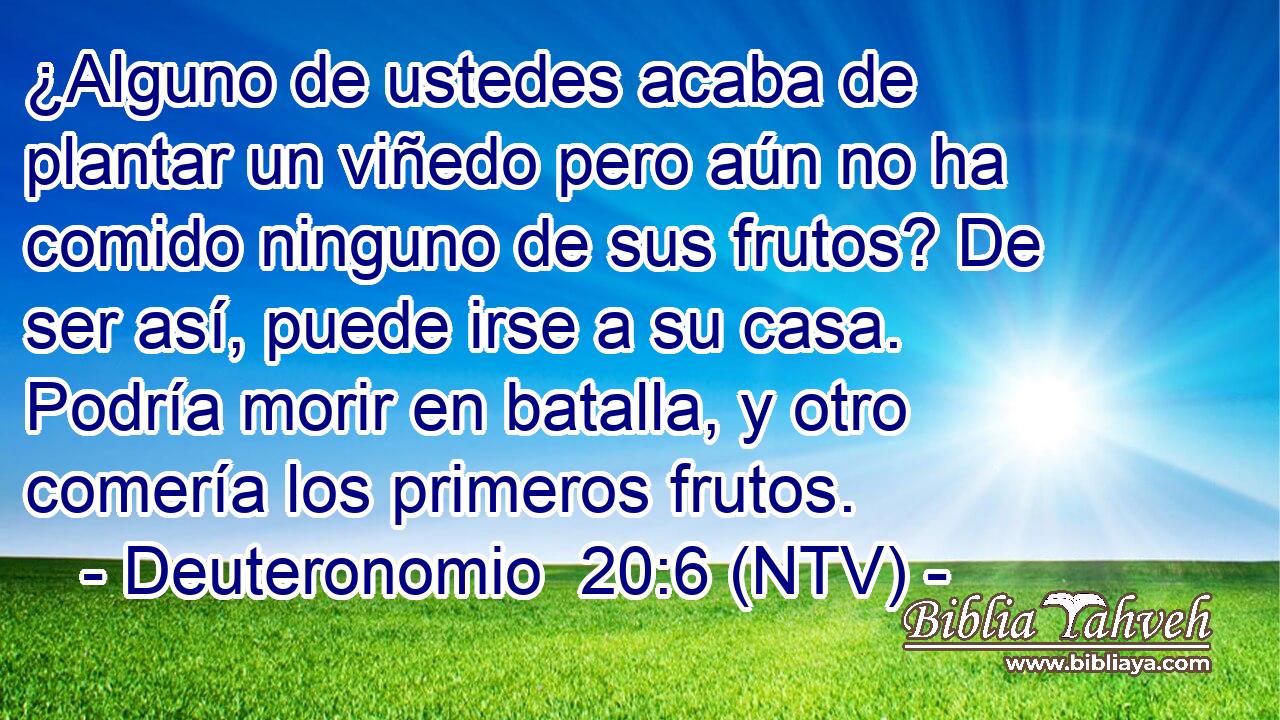 ¿Alguno de ustedes acaba de plantar un viñedo pero aún no ha comido ninguno de sus frutos? De ser así, puede irse a su casa. Podría morir en batalla, y otro comería los primeros frutos.