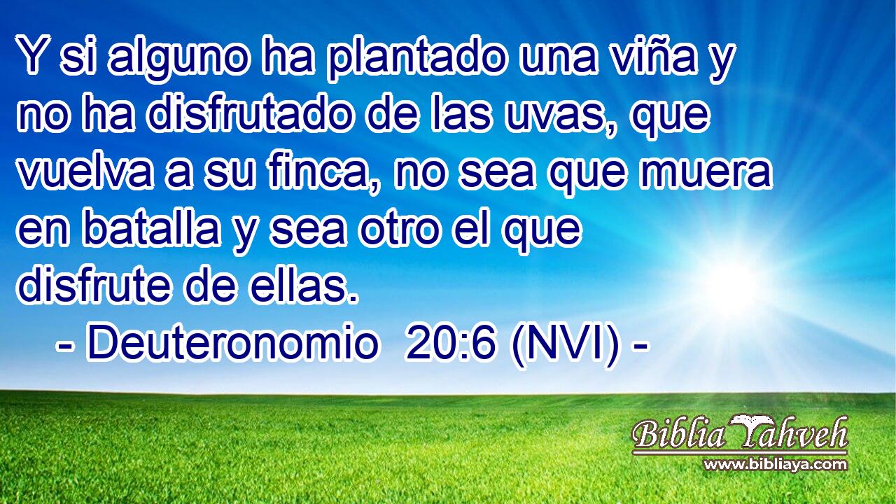  Y si alguno ha plantado una viña y no ha disfrutado de las uvas, que vuelva a su finca, no sea que muera en batalla y sea otro el que disfrute de ellas. 