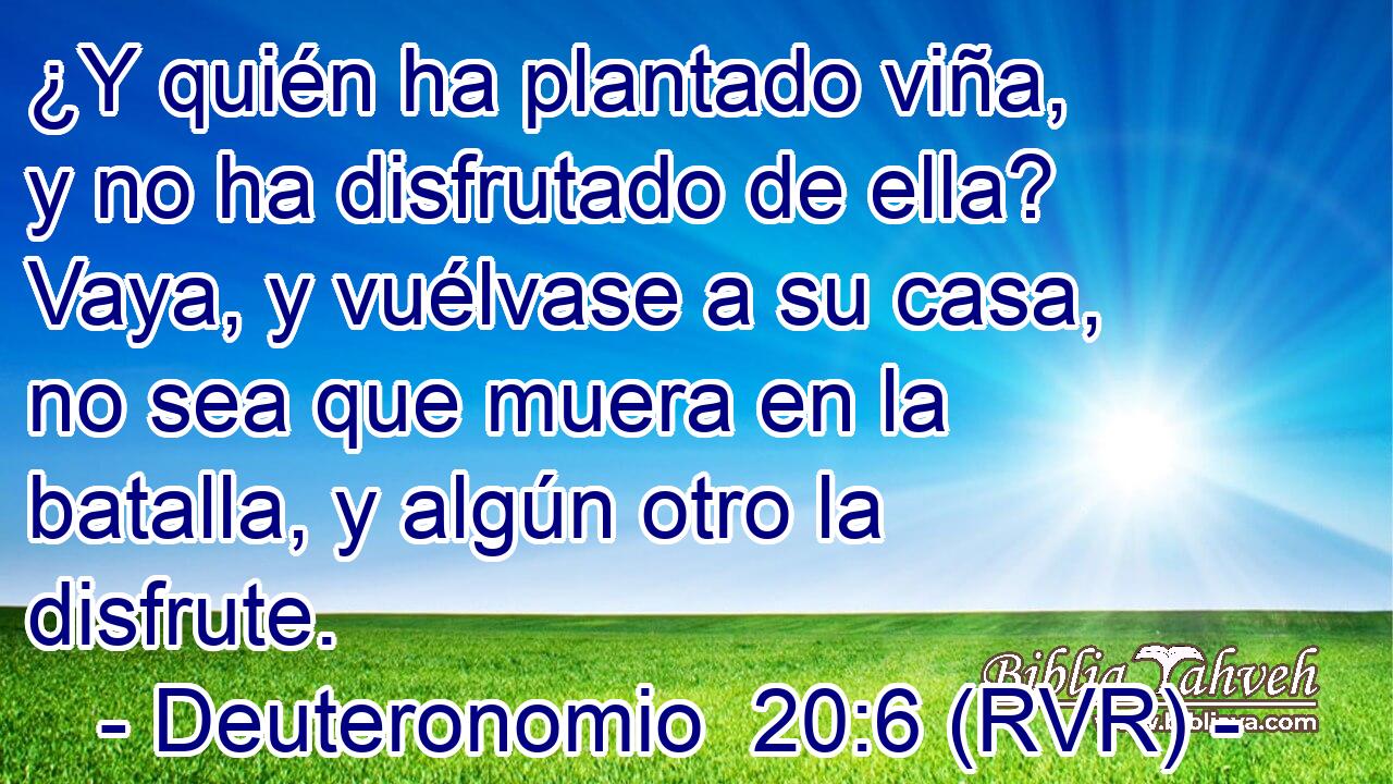 ¿Y quién ha plantado viña, y no ha disfrutado de ella? Vaya, y vuélvase a su casa, no sea que muera en la batalla, y algún otro la disfrute.
