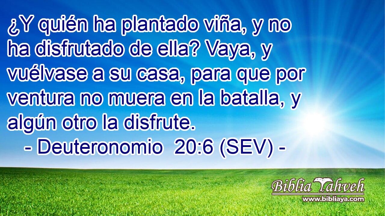 ¿Y quién ha plantado viña, y no ha disfrutado de ella? Vaya, y vuélvase a su casa, para que por ventura no muera en la batalla, y algún otro la disfrute.