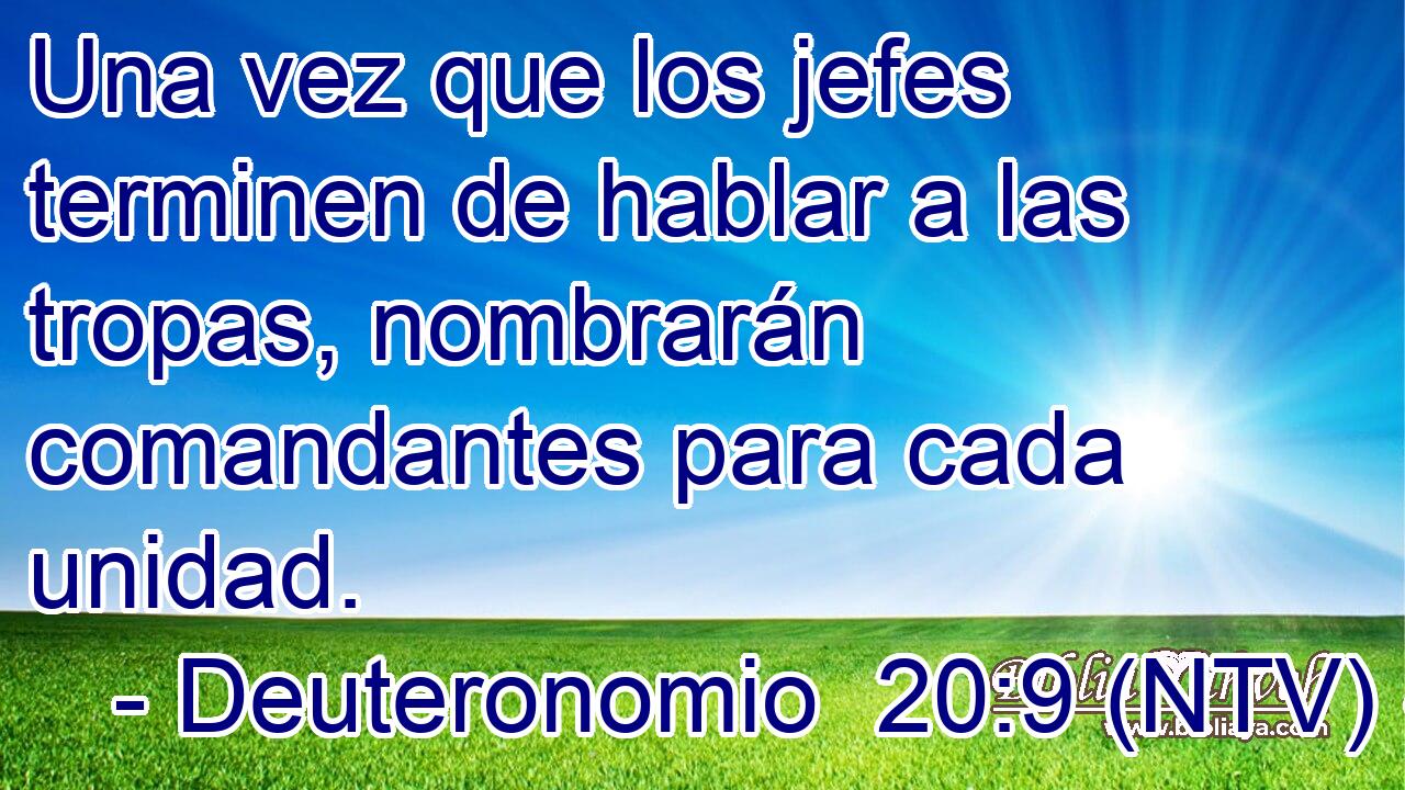 Una vez que los jefes terminen de hablar a las tropas, nombrarán comandantes para cada unidad.