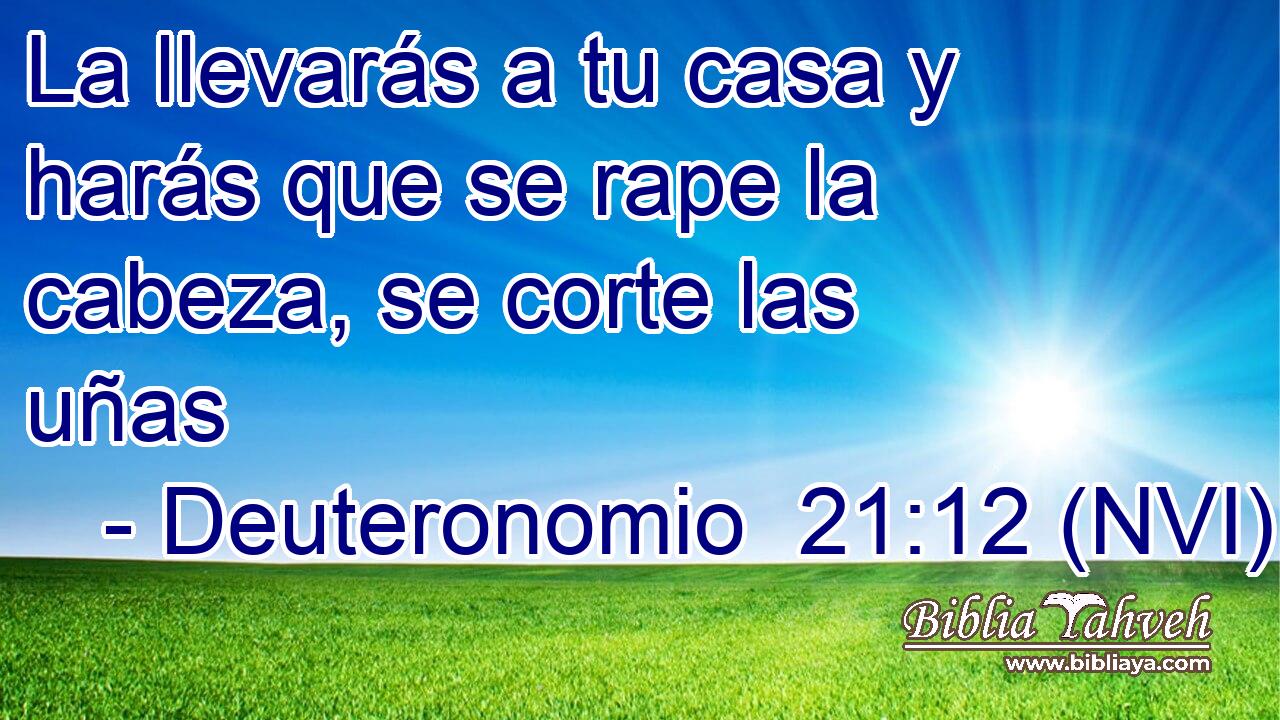  La llevarás a tu casa y harás que se rape la cabeza, se corte las uñas 