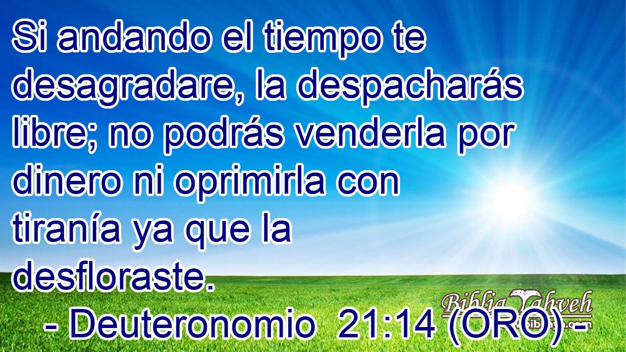  Si andando el tiempo te desagradare, la despacharás libre; no podrás venderla por dinero ni oprimirla con tiranía ya que la desfloraste. 