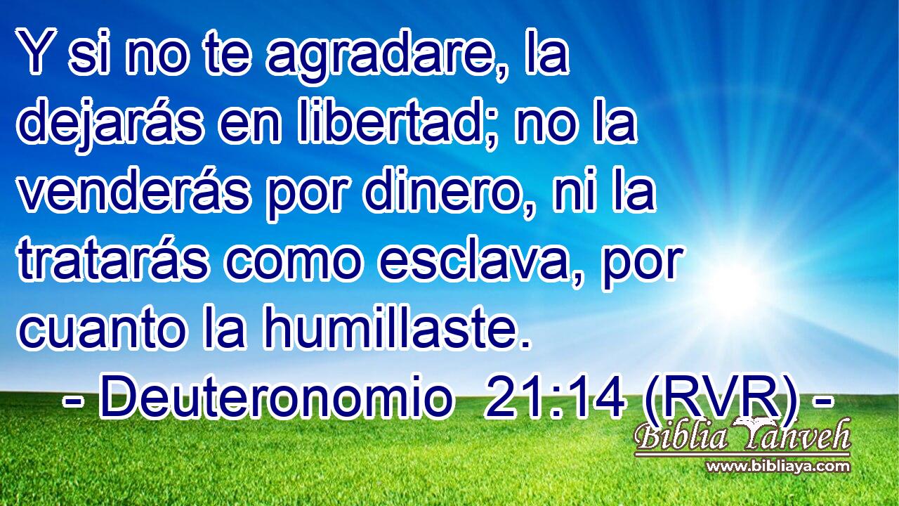 Y si no te agradare, la dejarás en libertad; no la venderás por dinero, ni la tratarás como esclava, por cuanto la humillaste.
