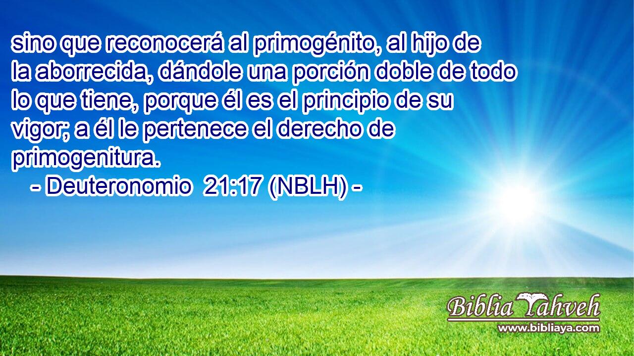  sino que reconocerá al primogénito, al hijo de la aborrecida, dándole una porción doble de todo lo que tiene, porque él es el principio de su vigor; a él le pertenece el derecho de primogenitura. 