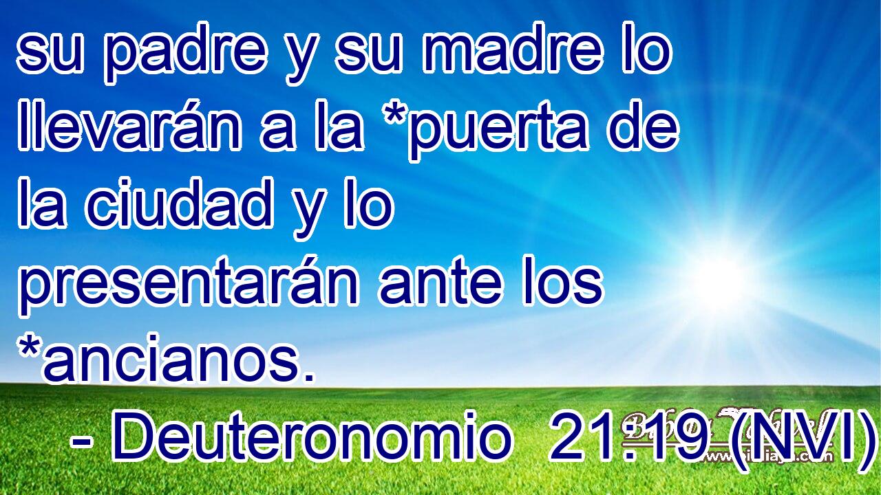  su padre y su madre lo llevarán a la *puerta de la ciudad y lo presentarán ante los *ancianos. 