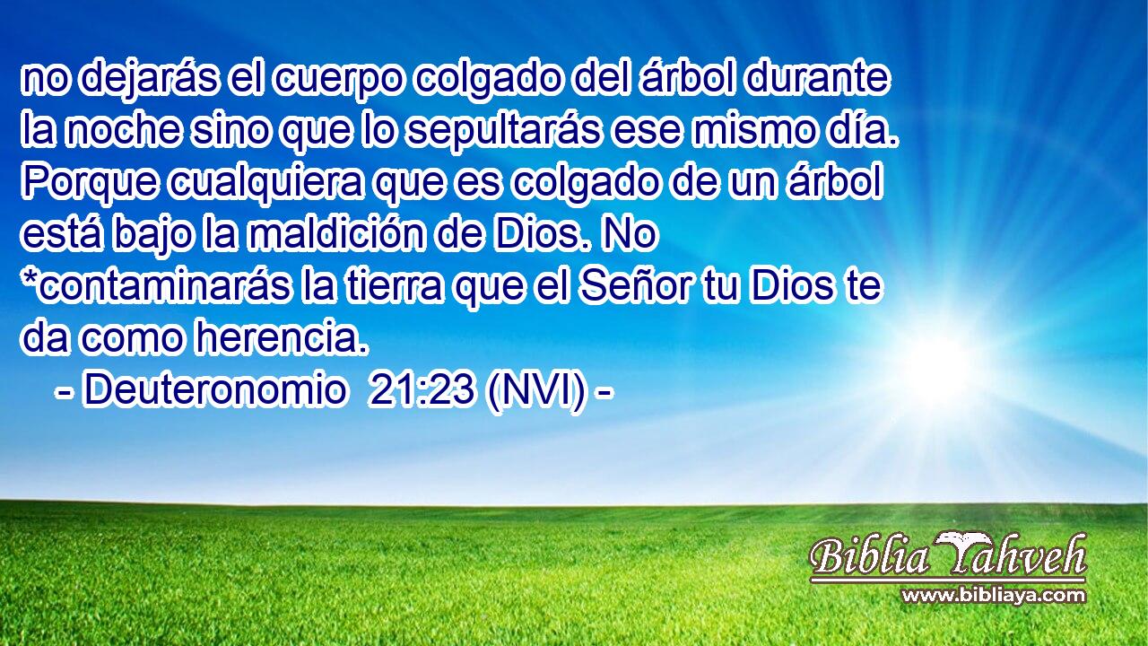  no dejarás el cuerpo colgado del árbol durante la noche sino que lo sepultarás ese mismo día. Porque cualquiera que es colgado de un árbol está bajo la maldición de Dios. No *contaminarás la tierra que el Señor tu Dios te da como herencia. 