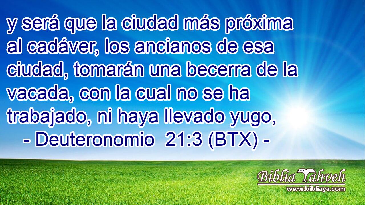 y será que la ciudad más próxima al cadáver, los ancianos de esa ciudad, tomarán una becerra de la vacada, con la cual no se ha trabajado, ni haya llevado yugo,
