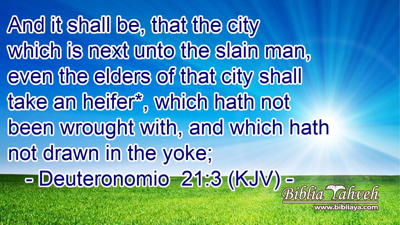 And it shall be, that the city which is next unto the slain man, even the elders of that city shall take an heifer*, which hath not been wrought with, and which hath not drawn in the yoke;