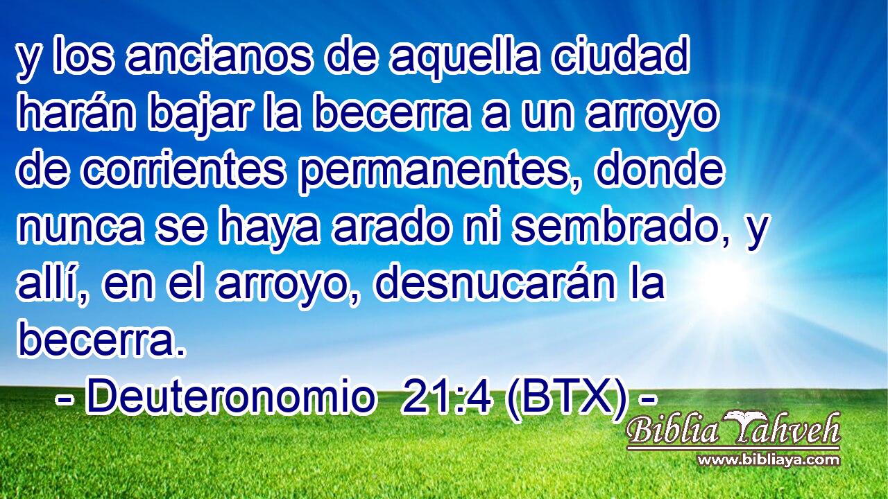 y los ancianos de aquella ciudad harán bajar la becerra a un arroyo de corrientes permanentes, donde nunca se haya arado ni sembrado, y allí, en el arroyo, desnucarán la becerra.