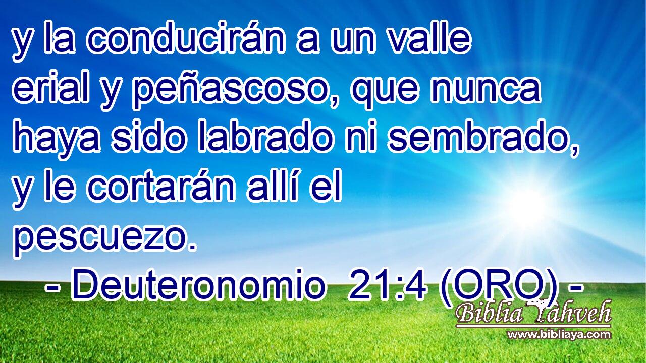 y la conducirán a un valle erial y peñascoso, que nunca haya sido labrado ni sembrado, y le cortarán allí el pescuezo. 