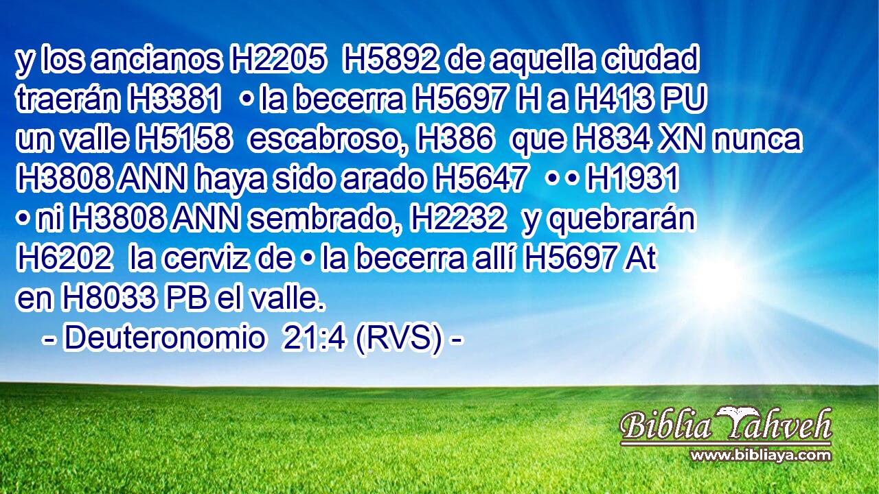 y los ancianos H2205  H5892 de aquella ciudad traerán H3381  • la becerra H5697 H a H413 PU un valle H5158  escabroso, H386  que H834 XN nunca H3808 ANN haya sido arado H5647  • • H1931  • ni H3808 ANN sembrado, H2232  y quebrarán H6202  la cerviz de • la becerra allí H5697 At en H8033 PB el valle. 
