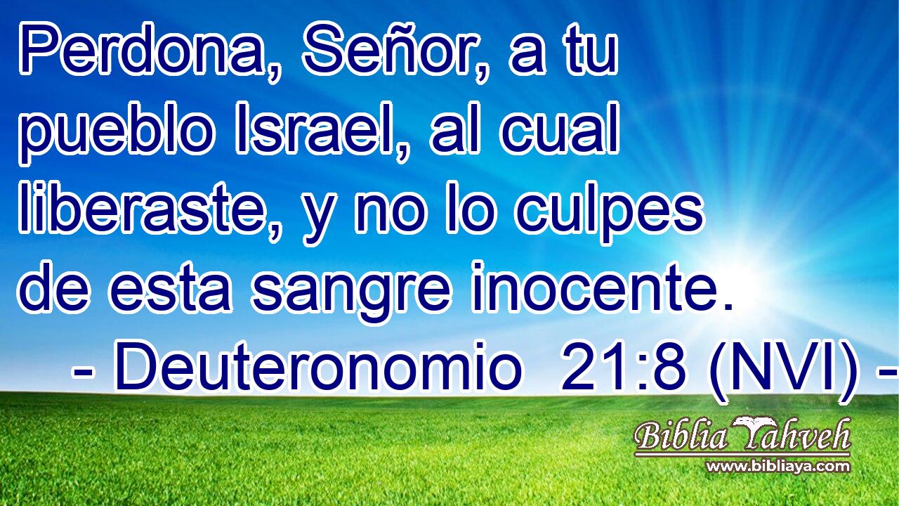  Perdona, Señor, a tu pueblo Israel, al cual liberaste, y no lo culpes de esta sangre inocente. 