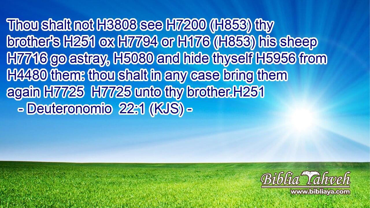 Thou shalt not H3808 see H7200 (H853) thy brother's H251 ox H7794 or H176 (H853) his sheep H7716 go astray, H5080 and hide thyself H5956 from H4480 them: thou shalt in any case bring them again H7725  H7725 unto thy brother.H251