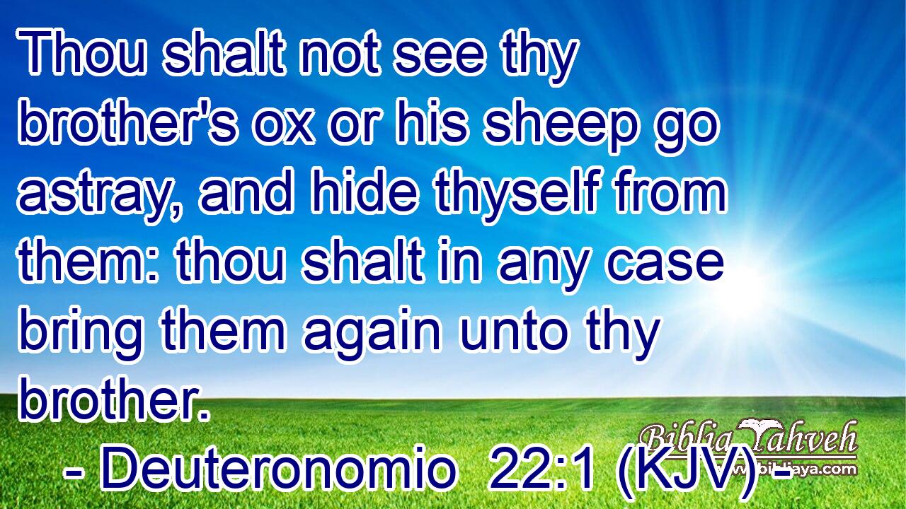 Thou shalt not see thy brother's ox or his sheep go astray, and hide thyself from them: thou shalt in any case bring them again unto thy brother.