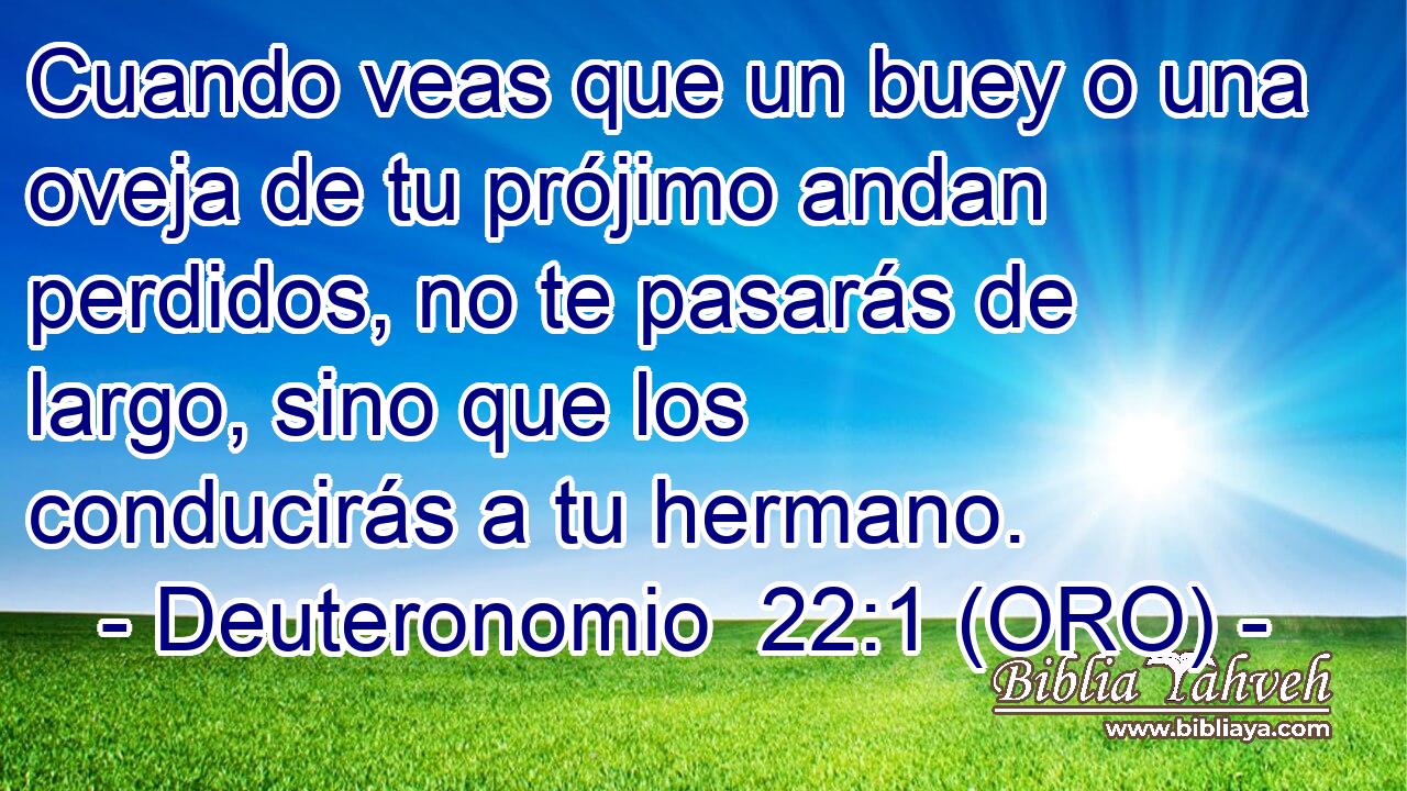 Cuando veas que un buey o una oveja de tu prójimo andan perdidos, no te pasarás de largo, sino que los conducirás a tu hermano. 