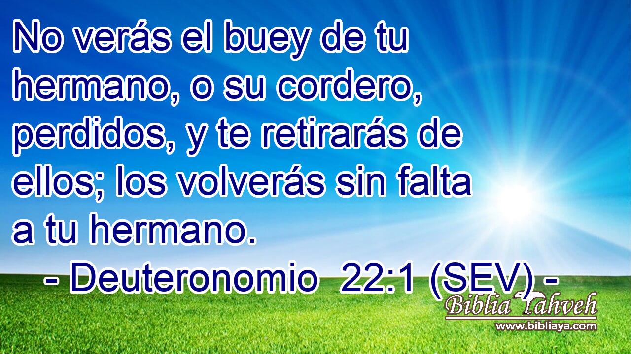 No verás el buey de tu hermano, o su cordero, perdidos, y te retirarás de ellos; los volverás sin falta a tu hermano.