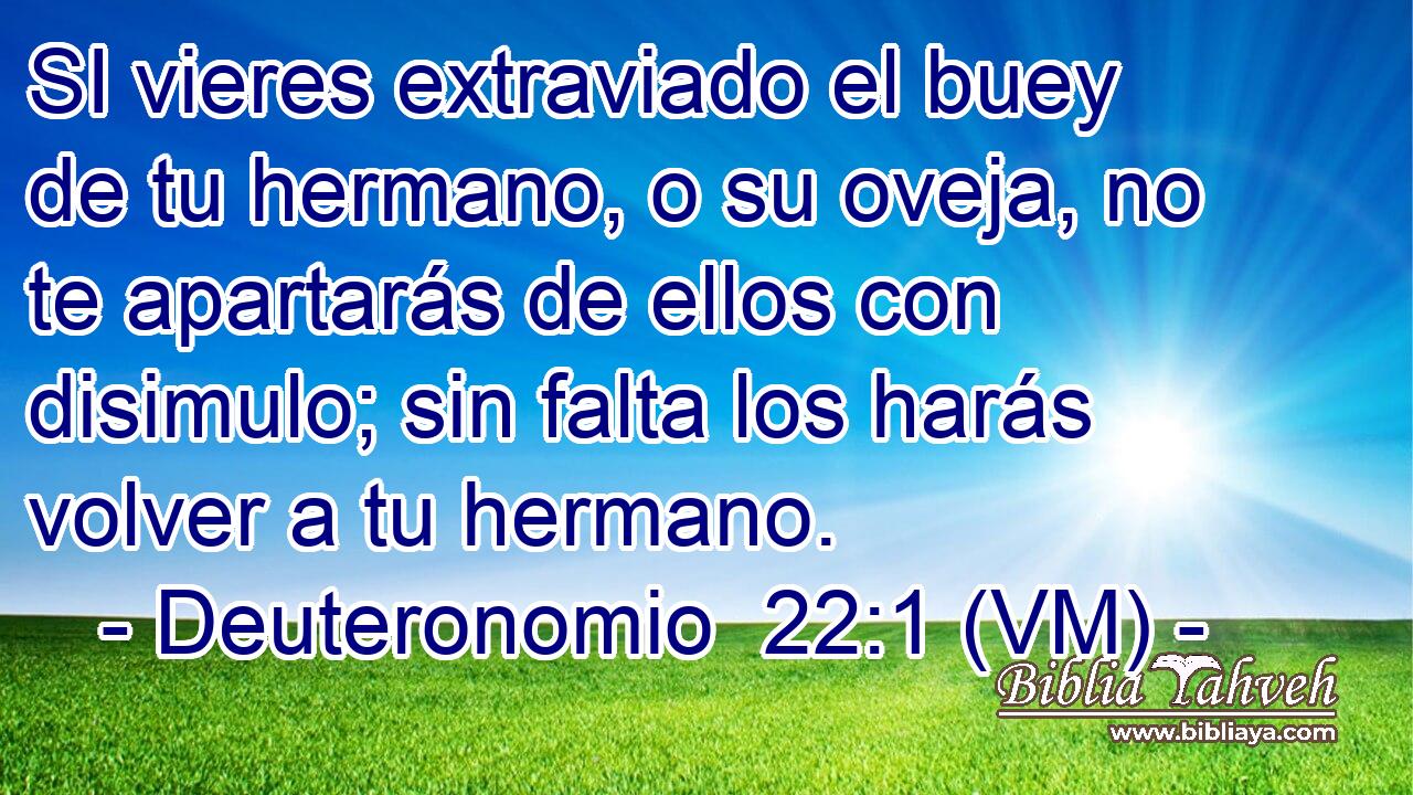  SI vieres extraviado el buey de tu hermano, o su oveja, no te apartarás de ellos con disimulo; sin falta los harás volver a tu hermano. 