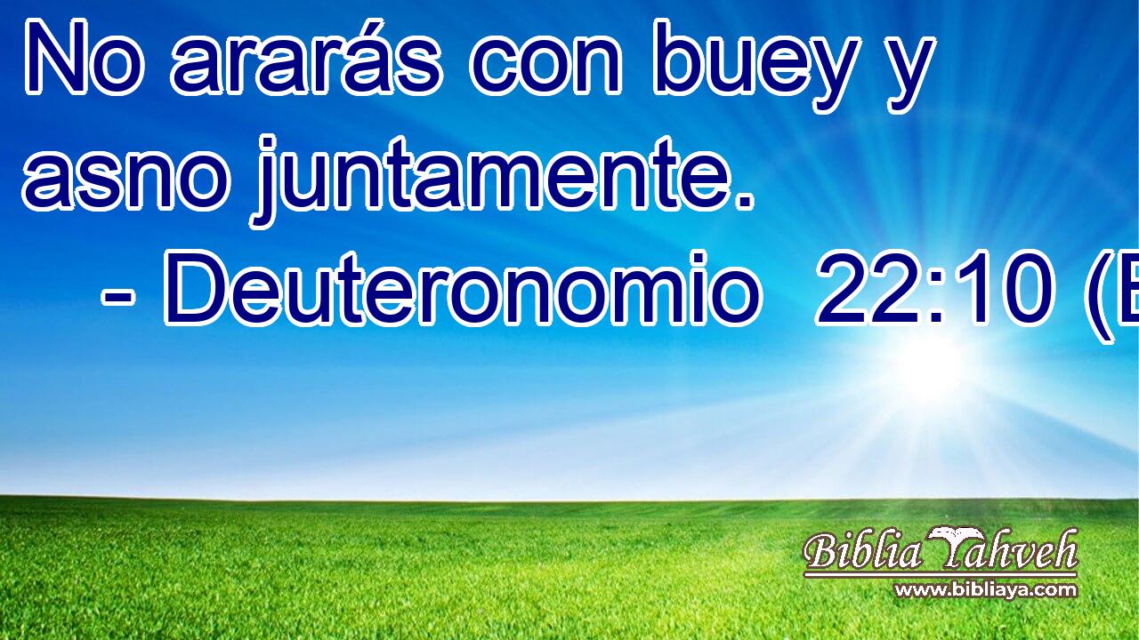 No ararás con buey y asno juntamente.