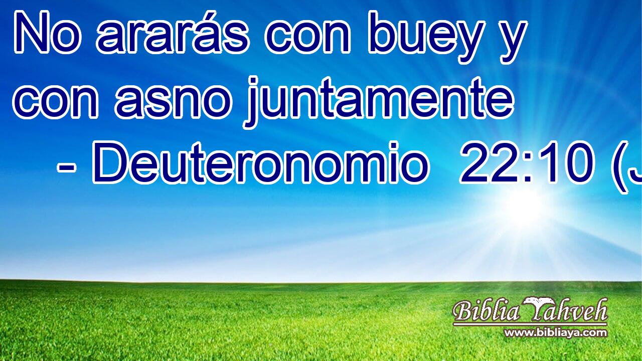 No ararás con buey y con asno juntamente