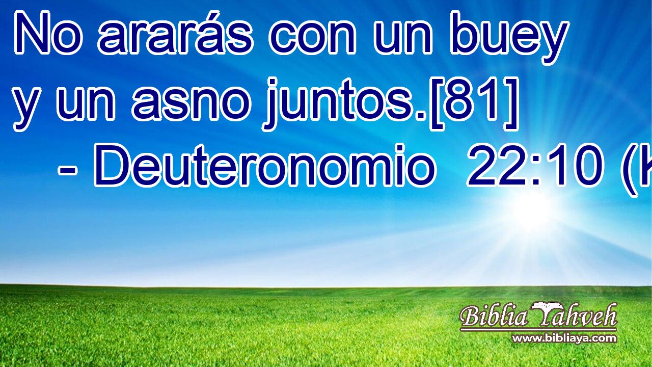  No ararás con un buey y un asno juntos.[81] 