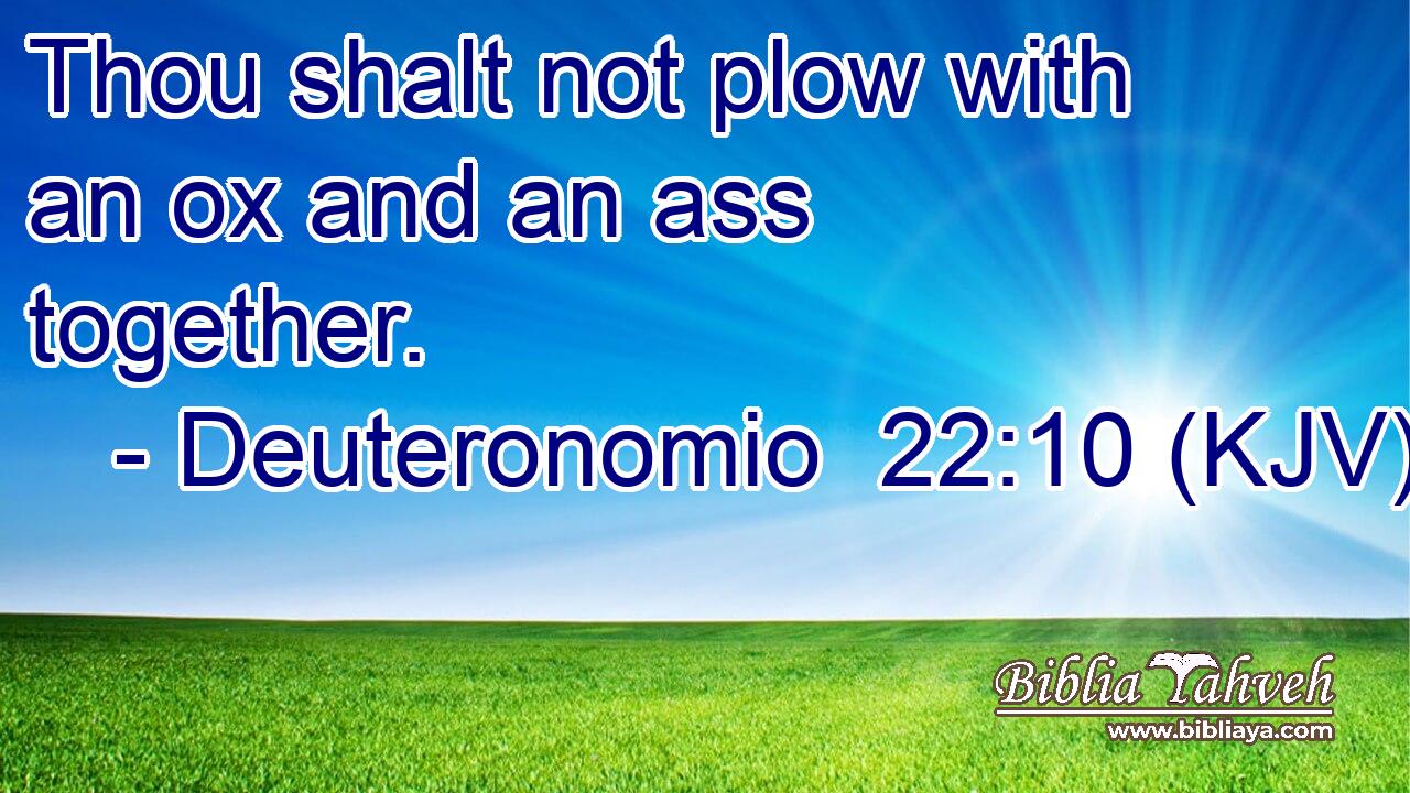 Thou shalt not plow with an ox and an ass together.