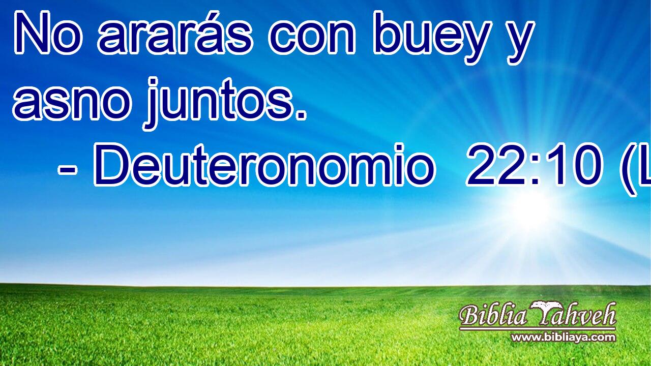 No ararás con buey y asno juntos.