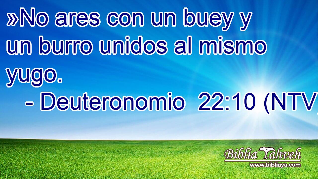 »No ares con un buey y un burro unidos al mismo yugo.