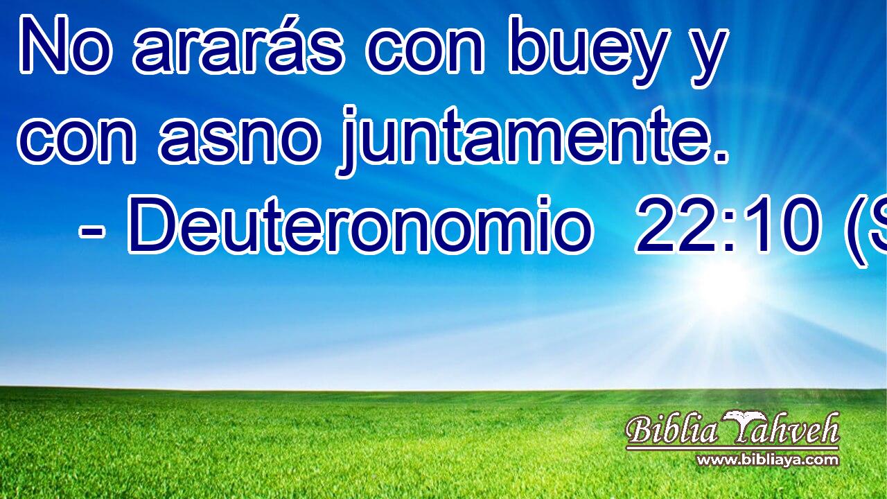 No ararás con buey y con asno juntamente.