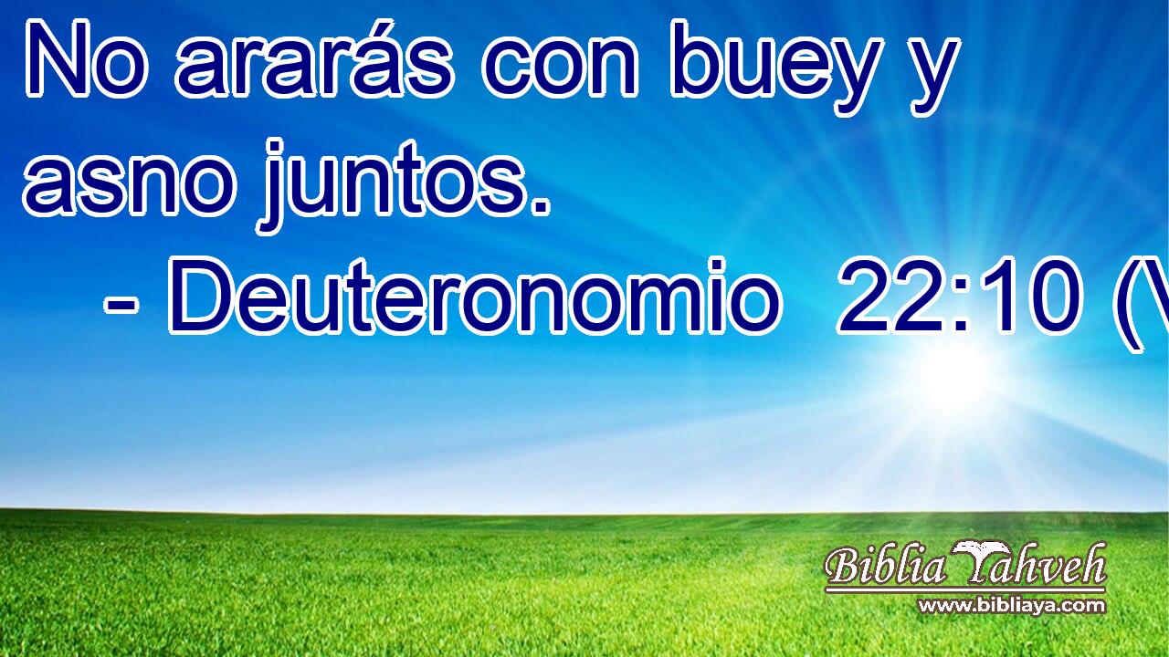  No ararás con buey y asno juntos. 