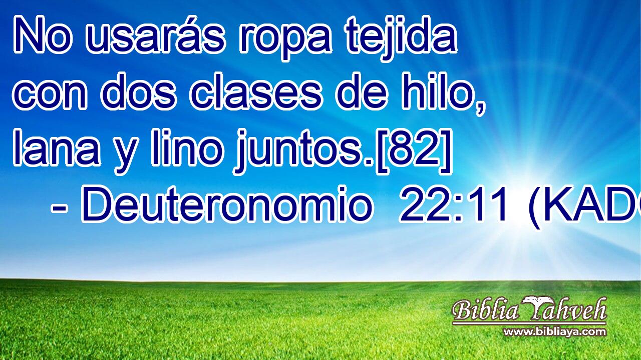  No usarás ropa tejida con dos clases de hilo, lana y lino juntos.[82] 