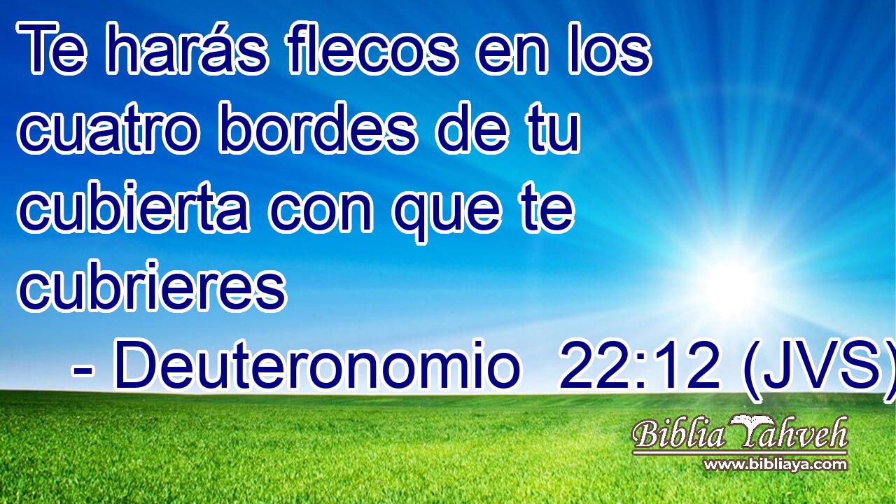 Te harás flecos en los cuatro bordes de tu cubierta con que te cubrieres